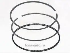 MAHLE عين شمبر 100 مم عريضة  