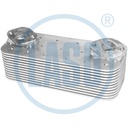 LASO سربنتينة زيت اكتروس 12 ريشة