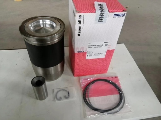 [001AY00161092] MAHLE بستم بالشميز اكتروس 