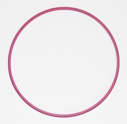 [003.881] ELRING MP4 استك شميز اكتروس صغير 